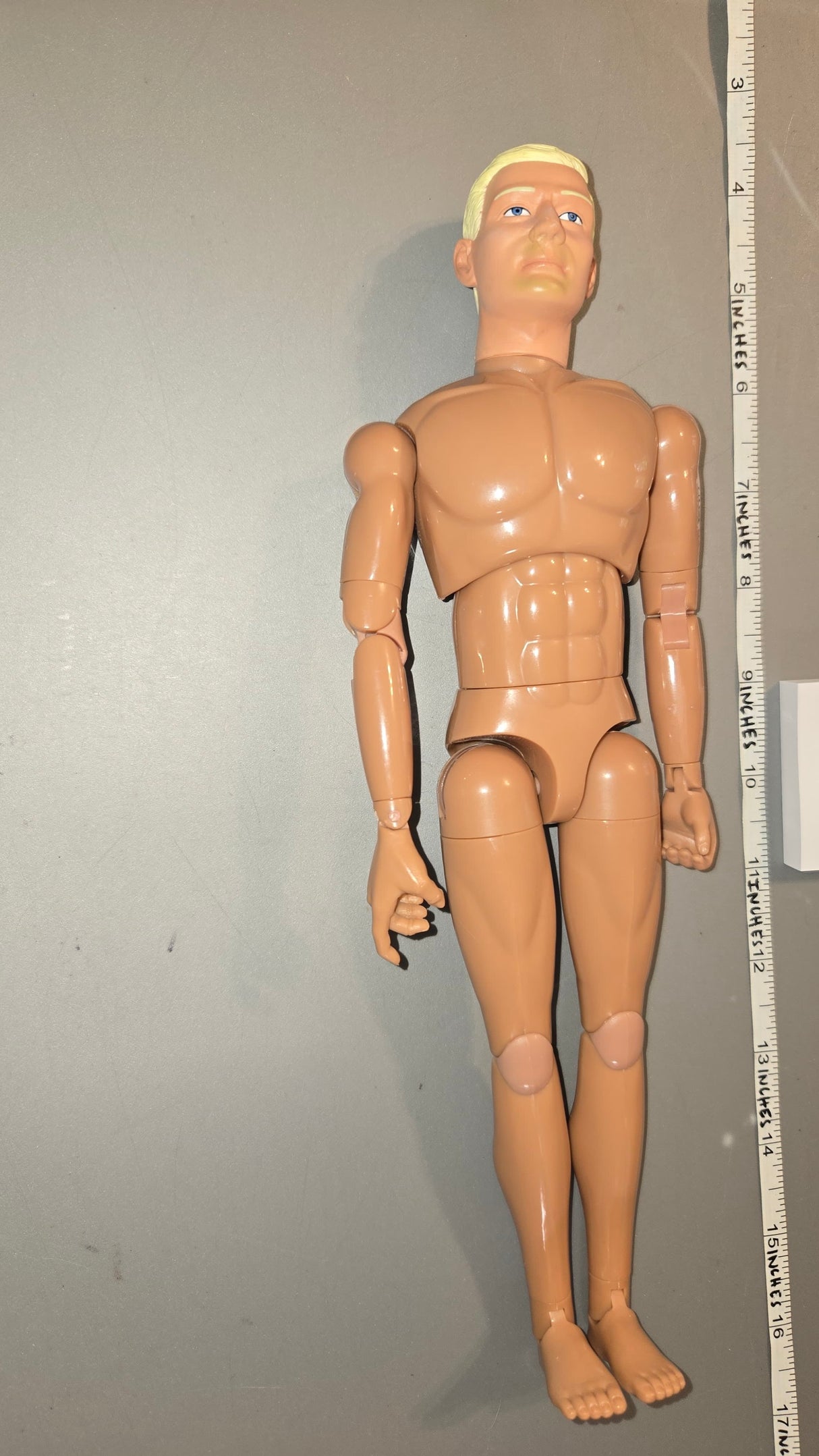 1/6 Scale Nude Dragon Figure