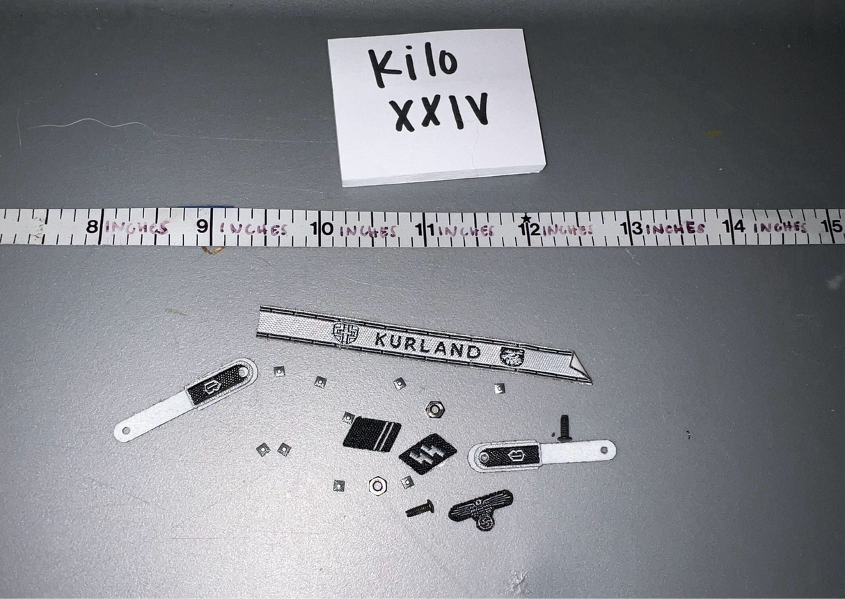 1/6 Scale WWII German Insignia Lot