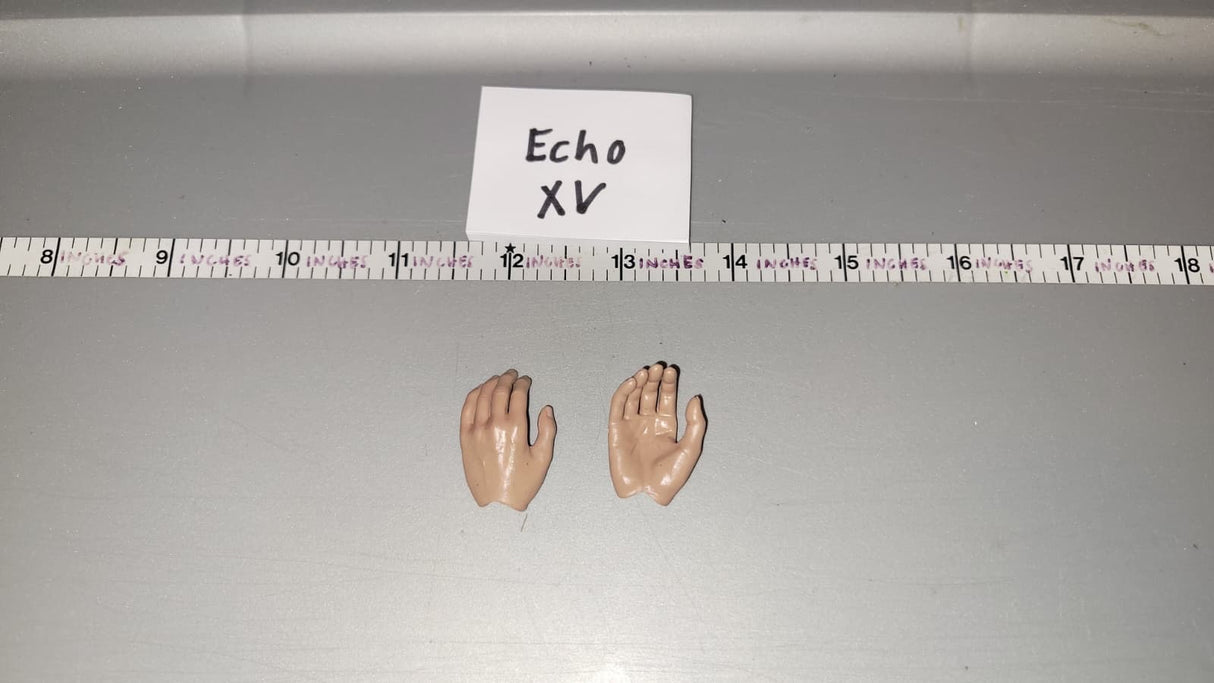 1/6 Scale Open Hand Set