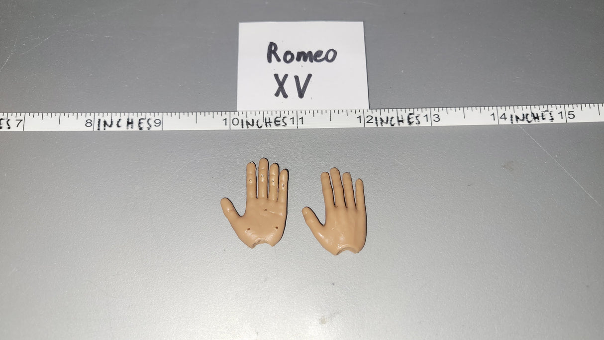 1/6 Scale Hand Set