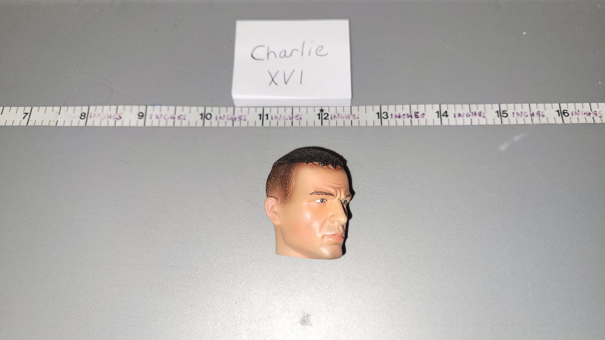 1/6 Scale Head Sculpt