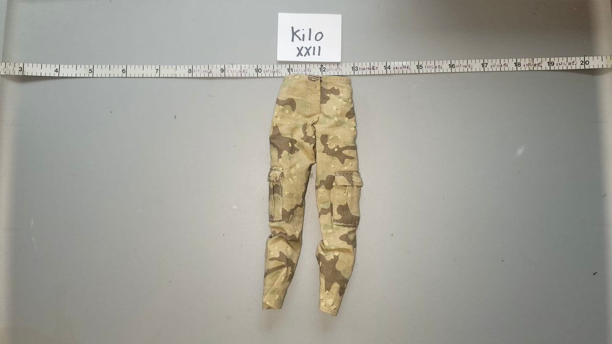1:6 Modern Desert Camouflage Pants
