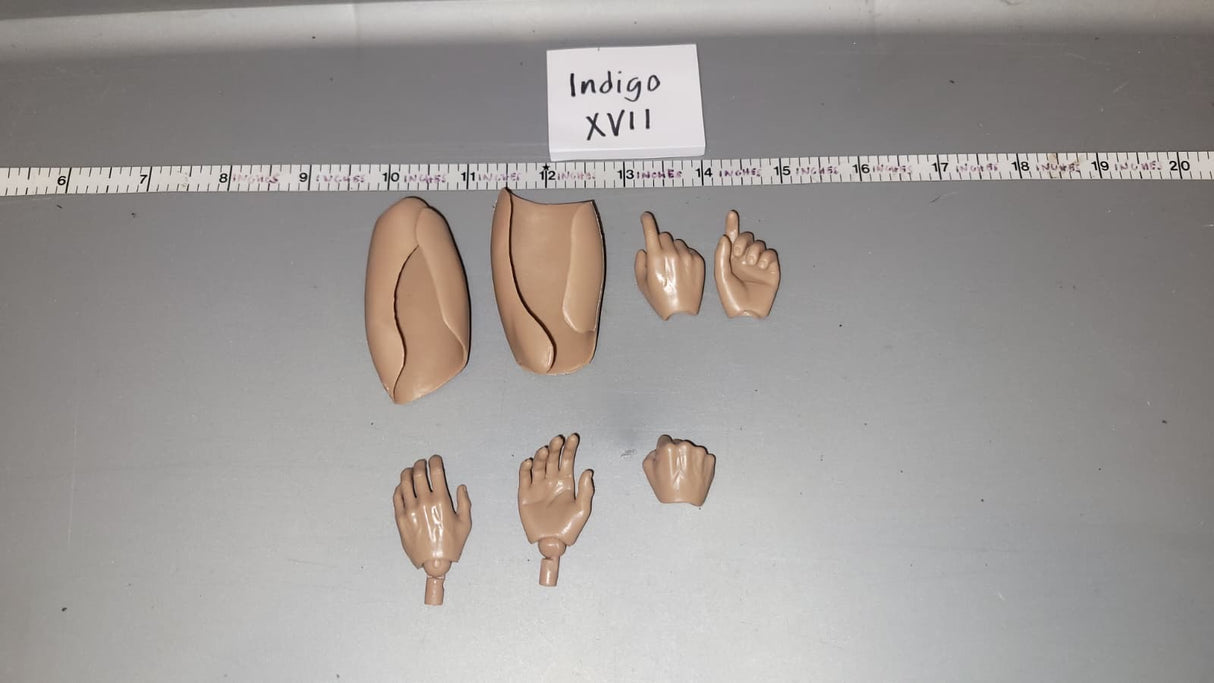 1/6 Scale Nude Figure Hand Lot