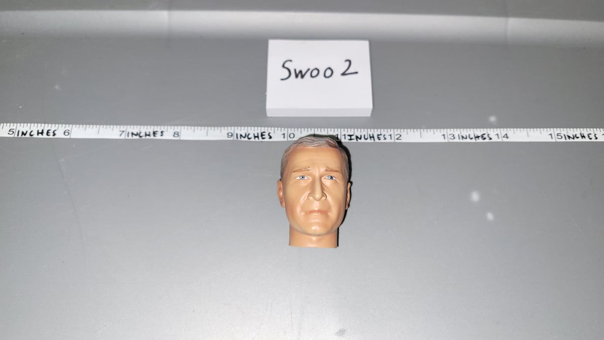1/6 Scale BBI Head Sculpt
