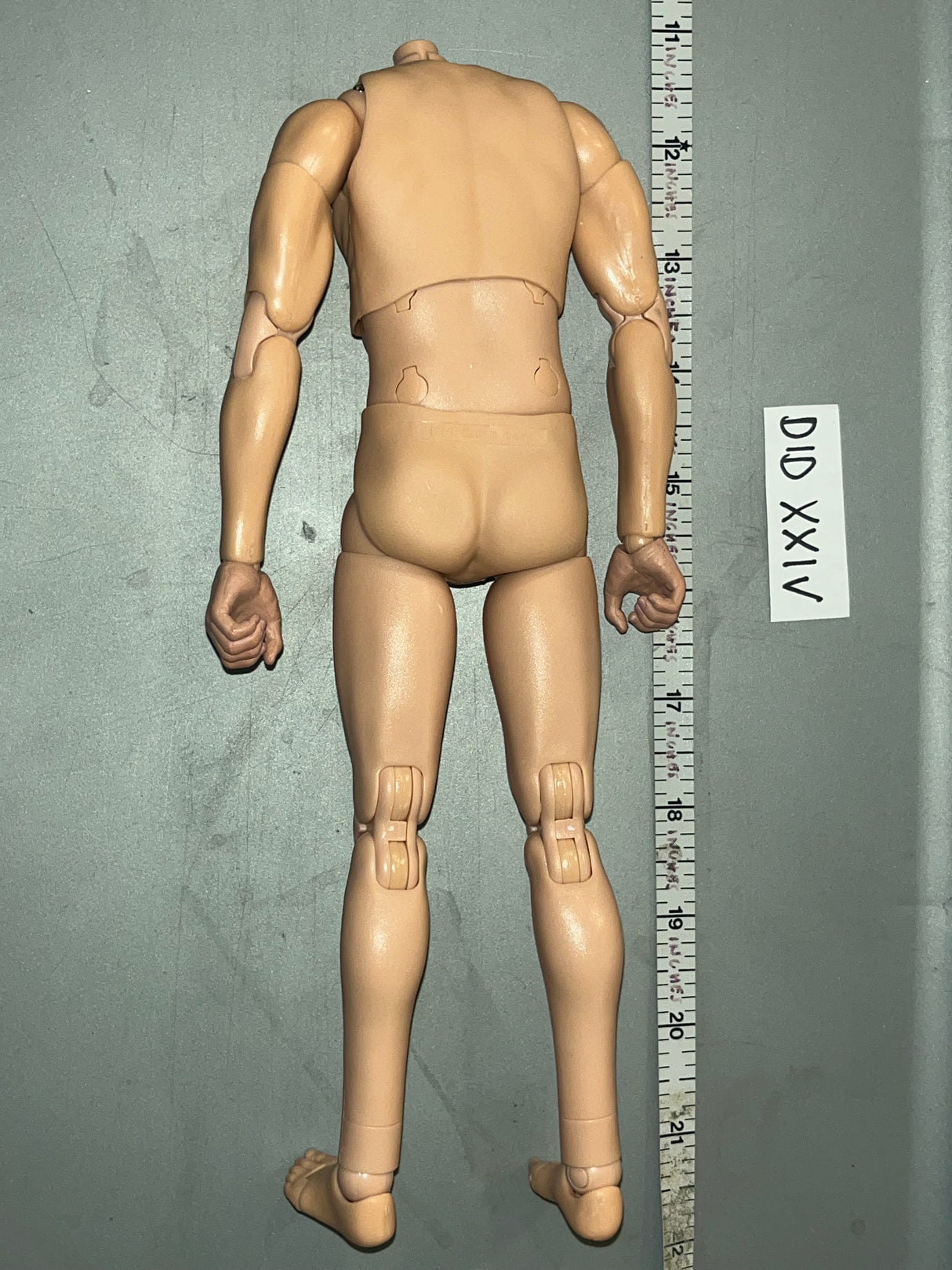 1/6 Scale DID Nude Basic Figure Body - DID D80193 Cavalry Standard Bearer Anselm