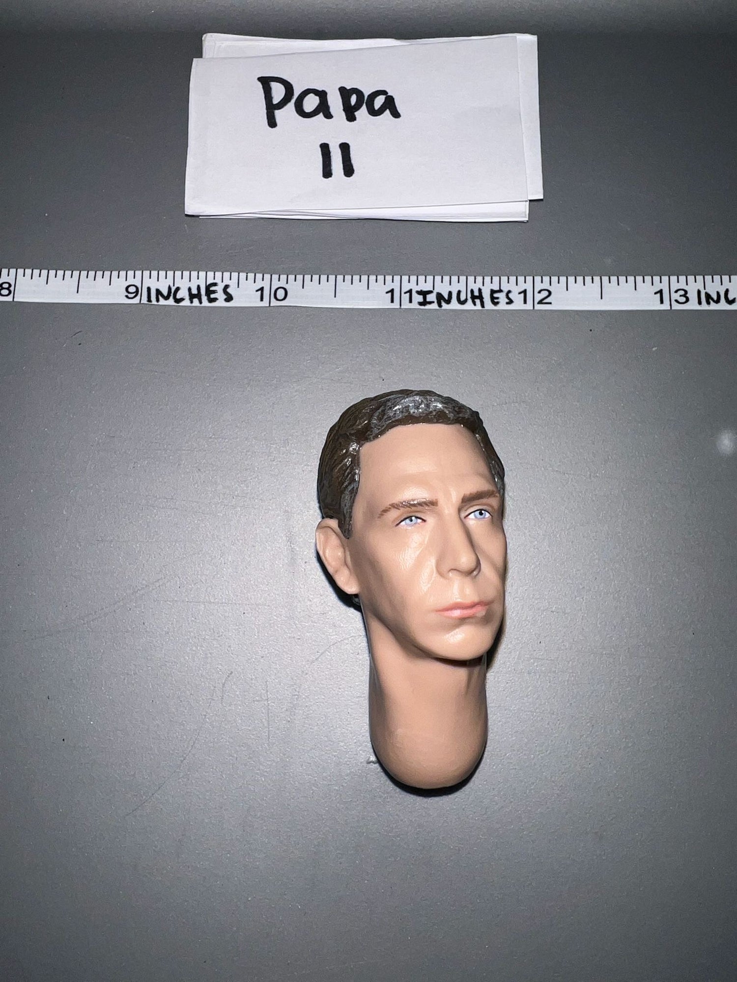 1/6 Scale Star Wars Director Krennic Imperial Officer Head Sculpt