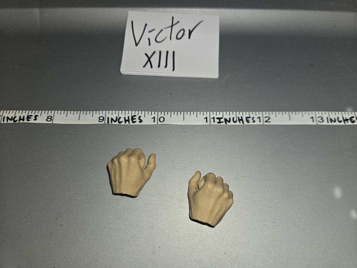1/6 Scale Hand Set