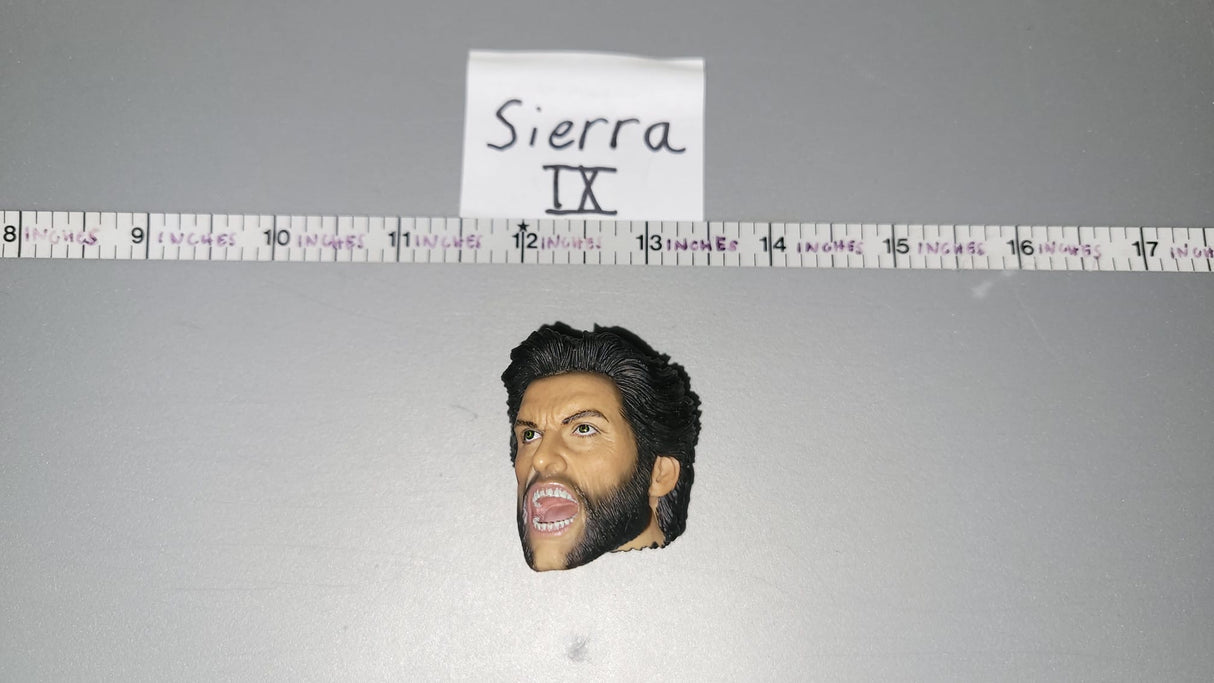 1/6 Scale Wolverine Head Sculpt - Comic Book - Civilian Science Fiction - X-Men Marvel