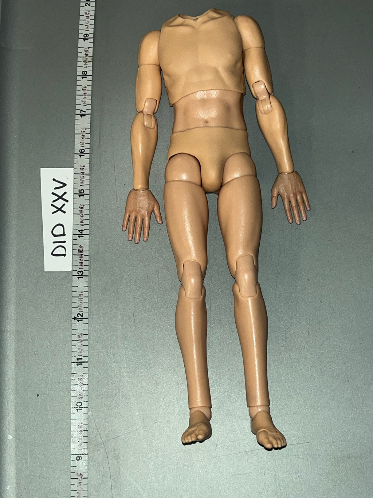 1/6 Scale Nude Basic Body - DID Steiner D80188