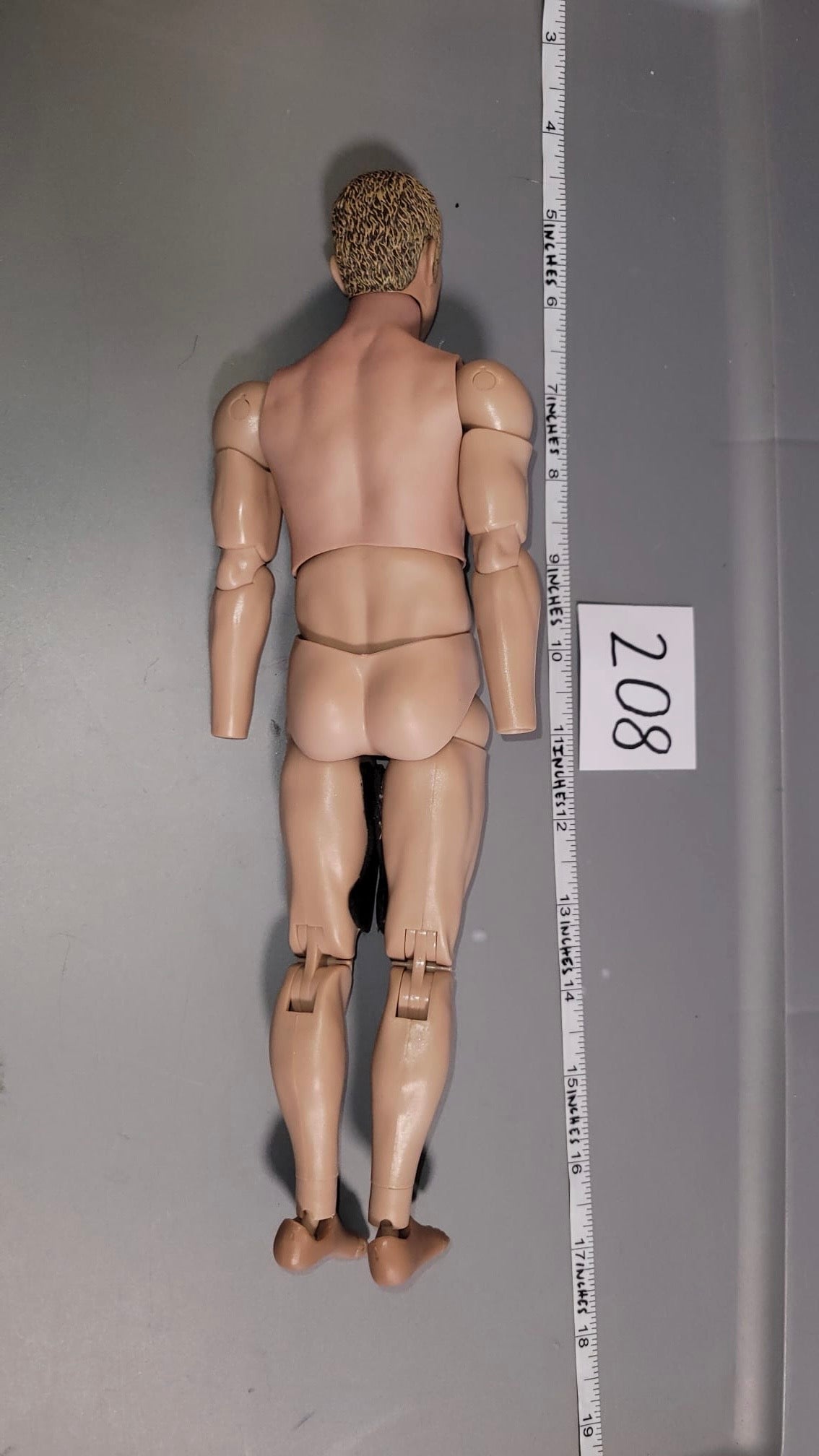 1/6 Scale Nude Figure - Basic Figure - DAM