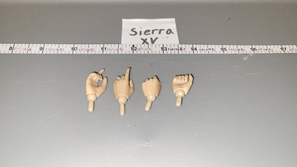1/6 Scale Nude Figure Hand Lot