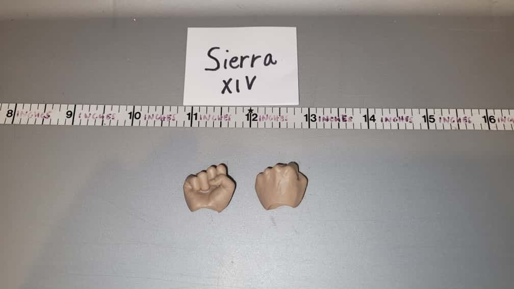 1/6 Scale Hand Set