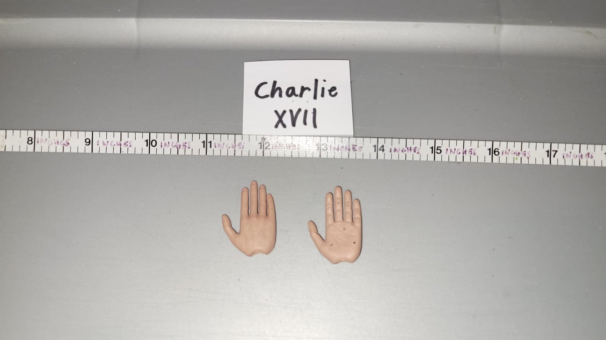 1/6 Scale DID Hand Set