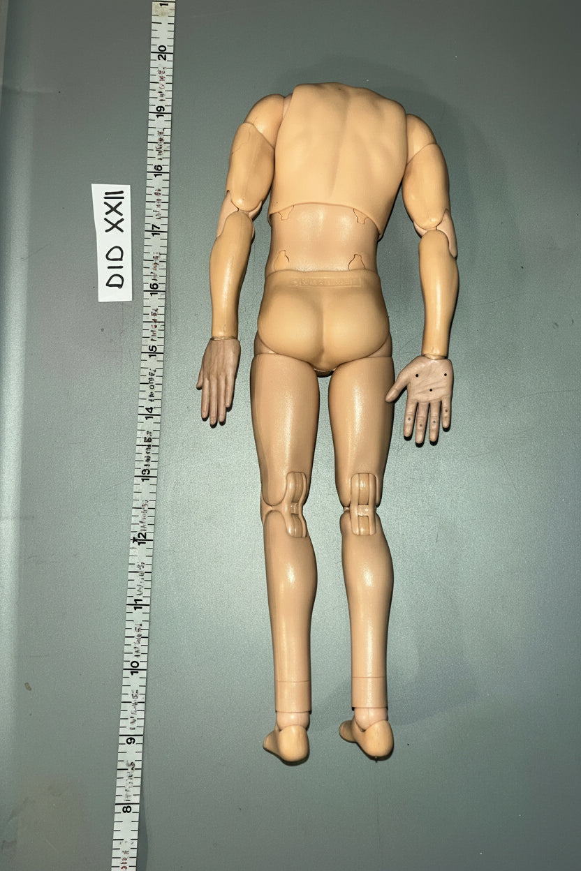 1/6 Scale DID Nude Basic Figure - DID Luftwaffe Pilot Erich Hartman