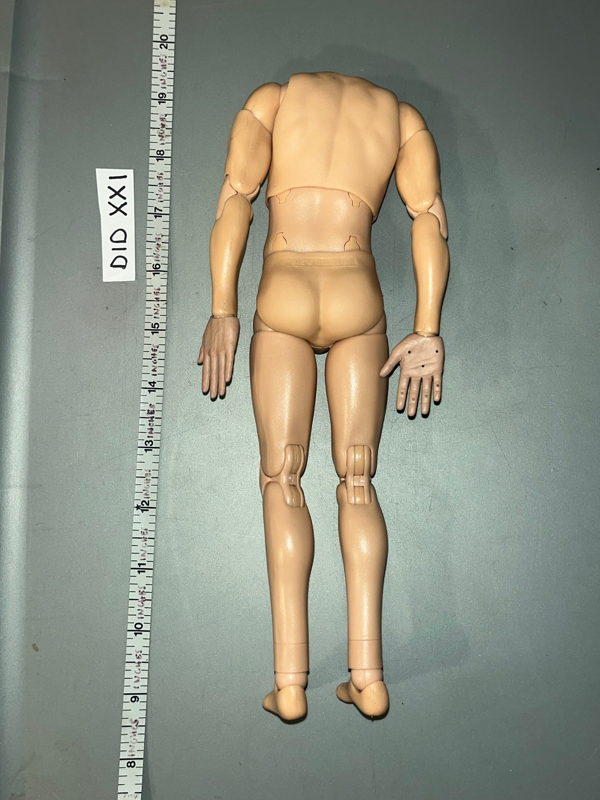 1/6 Scale DID Nude Basic Figure - DID Luftwaffe Pilot Erich Hartman