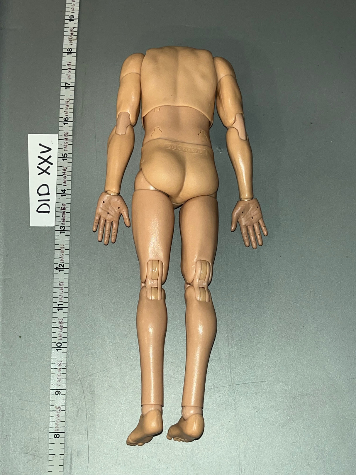1/6 Scale Nude Basic Body - DID Steiner D80188