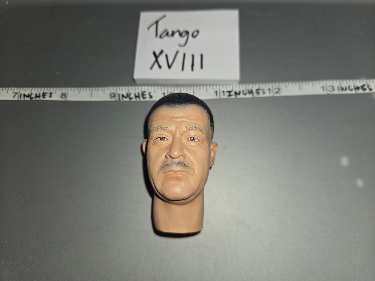 1:6 Scale WWII Japanese Asian Head Sculpt - DID