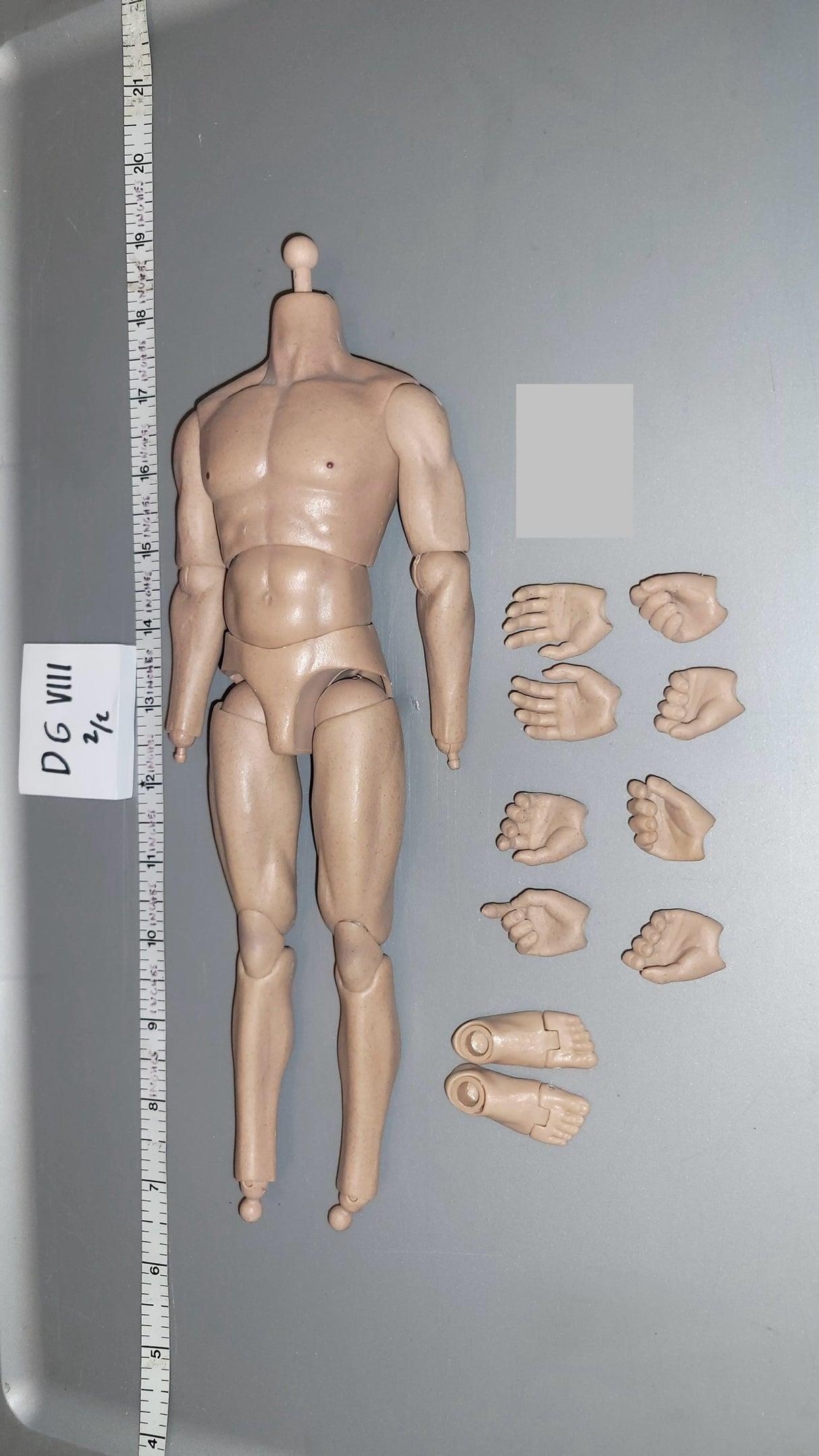 1:6 Scale Basic Nude Body - Muscular