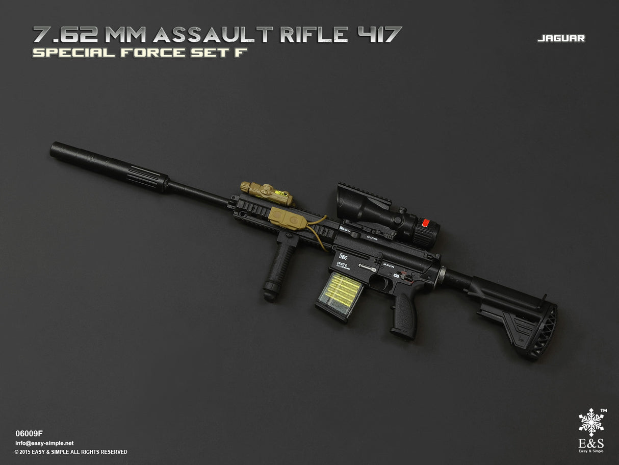1/6 Scale Modern Era ASSAULT RIFLE 417 Weapons Set - NIB Easy and Simple Set F - LMSVII