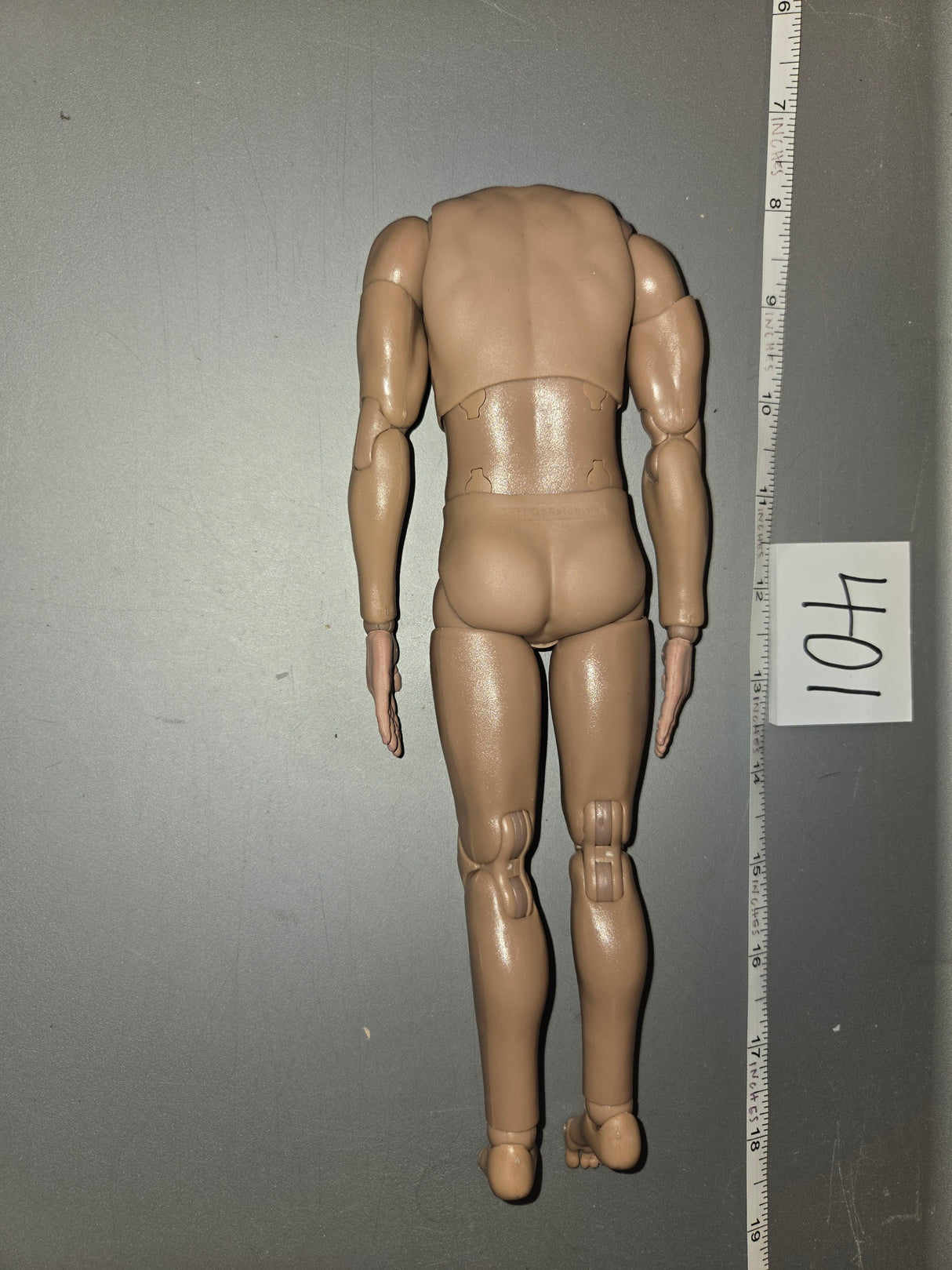 1/6 Scale Nude Basic Figure - DID