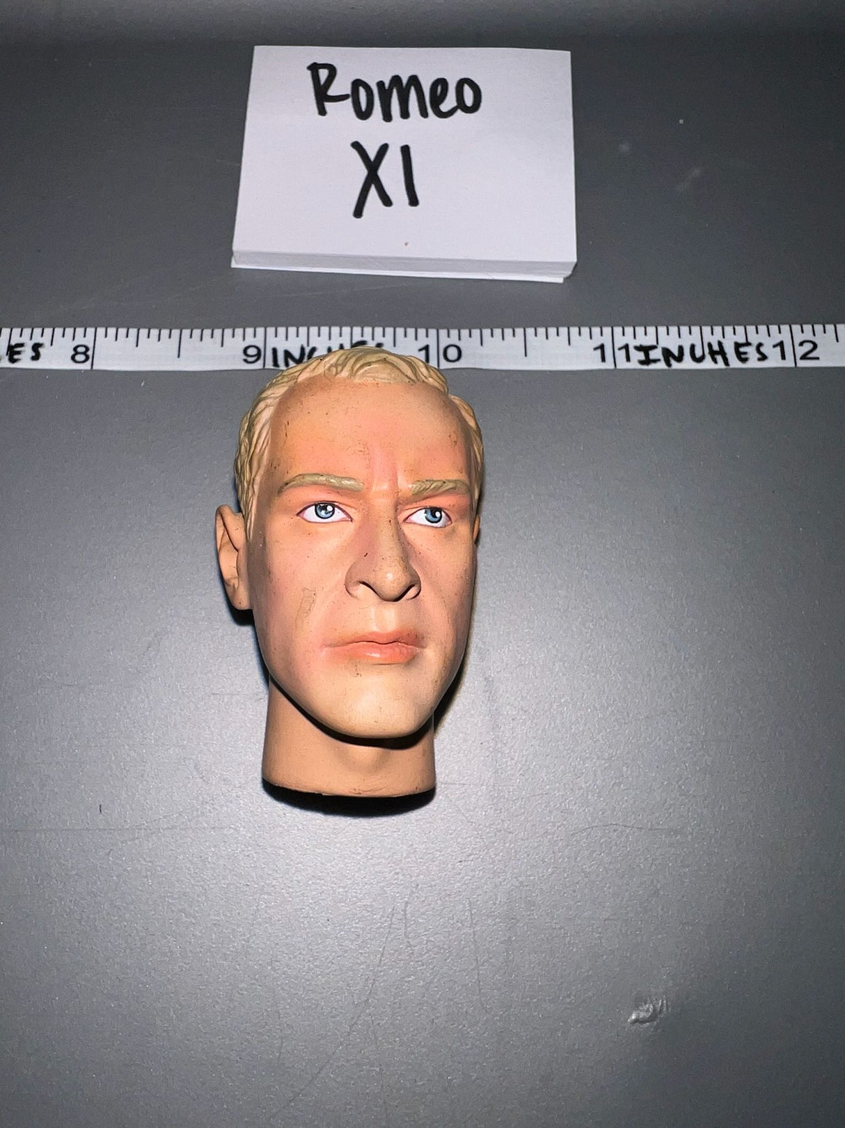 1/6 Scale Dragon Head Sculpt