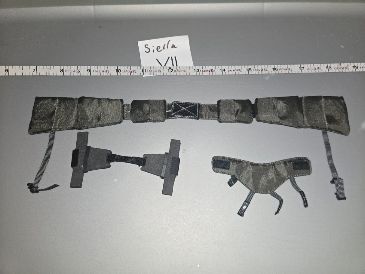 1/6 Scale Modern Era Web Gear
