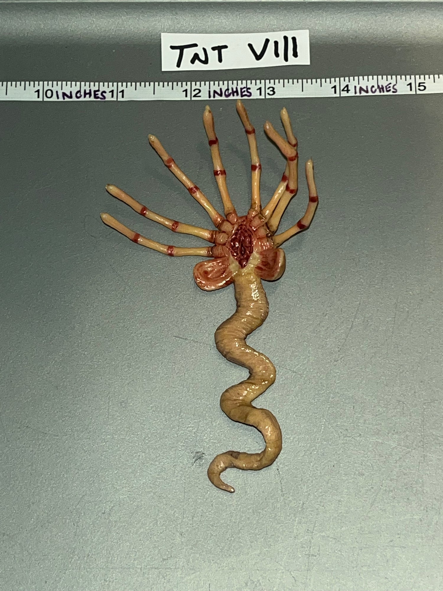 1:6 Scale Science Fiction Alien Ripley Face Hugger - Present Toys Flight Officer