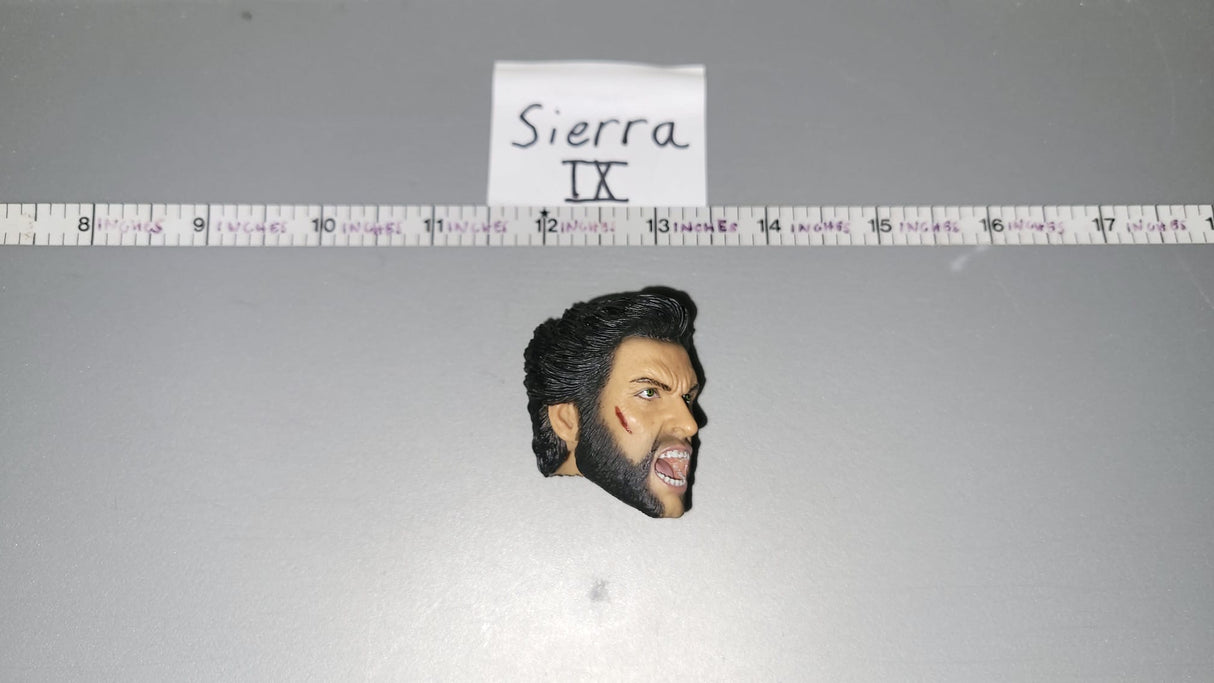 1/6 Scale Wolverine Head Sculpt - Comic Book - Civilian Science Fiction - X-Men Marvel