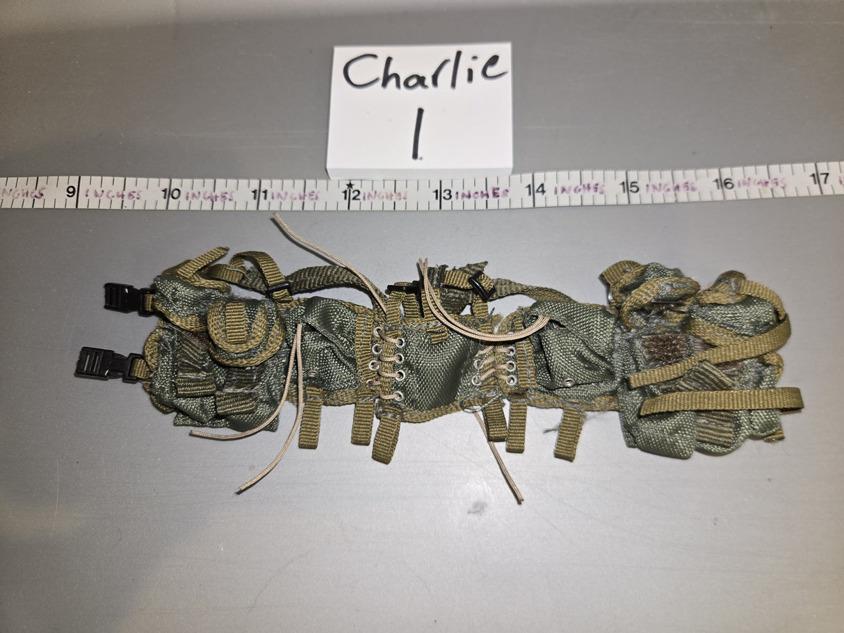 1/6 Scale Modern Era Load Bearing Web Equipment Web Gear