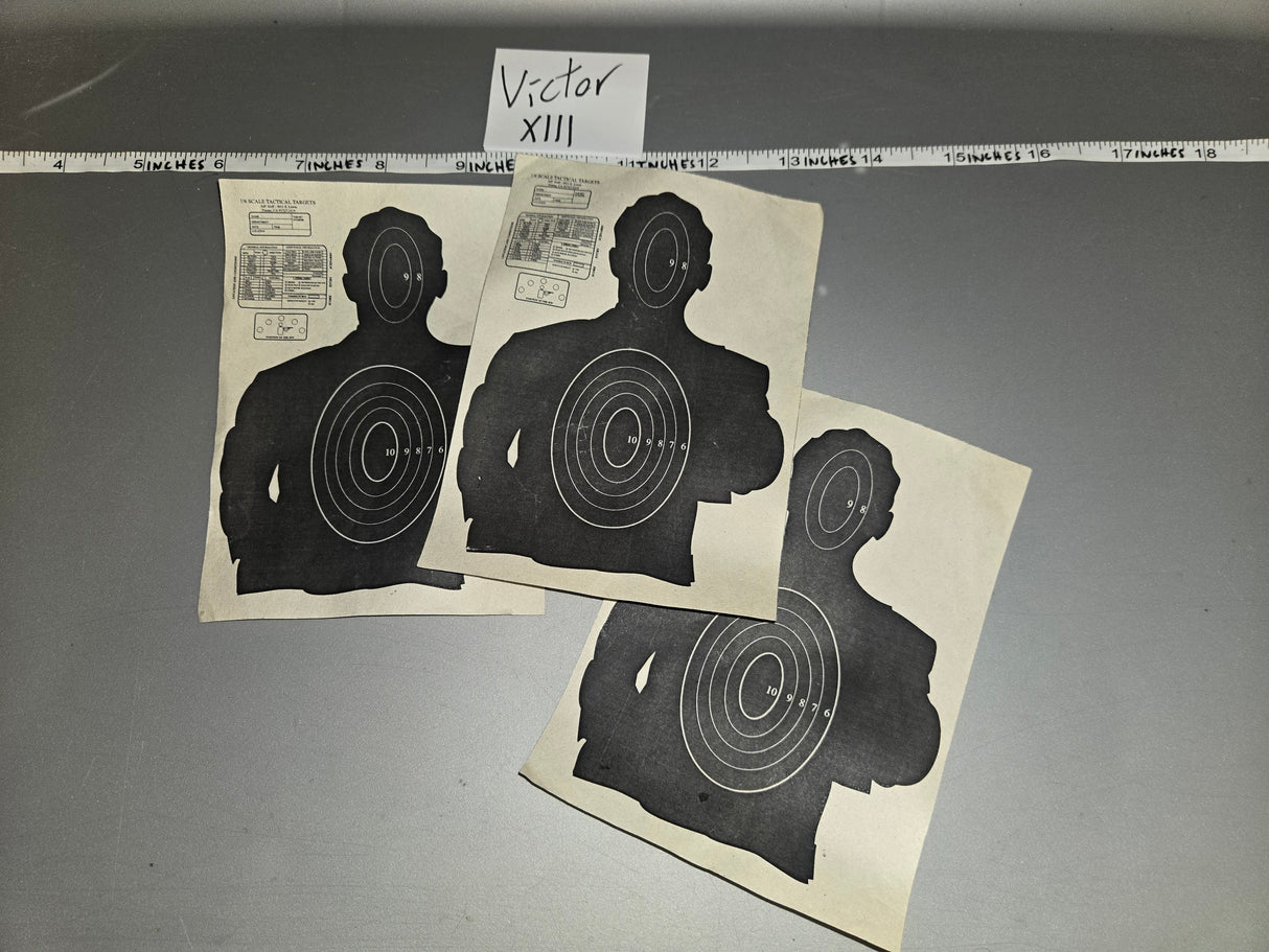 1/6 Scale Modern Era Training Target Lot