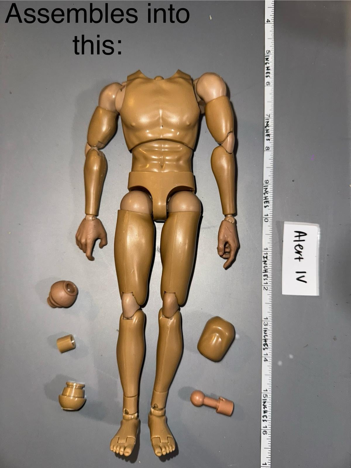 1/6 Scale Basic Nude Figure -