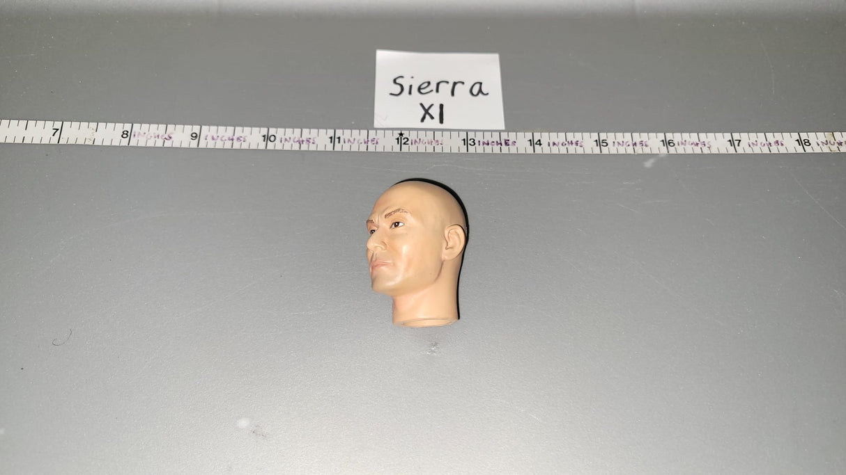 1/6 Scale Dragon Head Sculpt