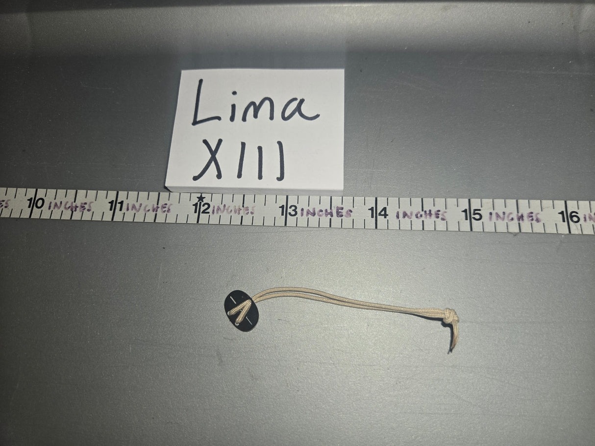 1/6 Scale WWII German Dog Tag / Identity Disk