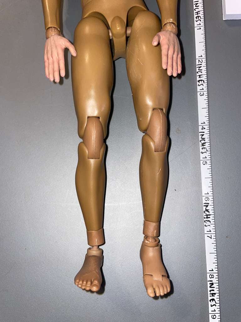 1/6 Scale Nude Figure