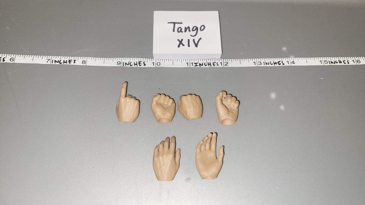 1/6 Scale Nude Figure Hand Lot