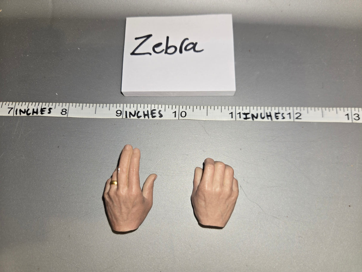 1/6 Scale Star Wars Sideshow Hand Set