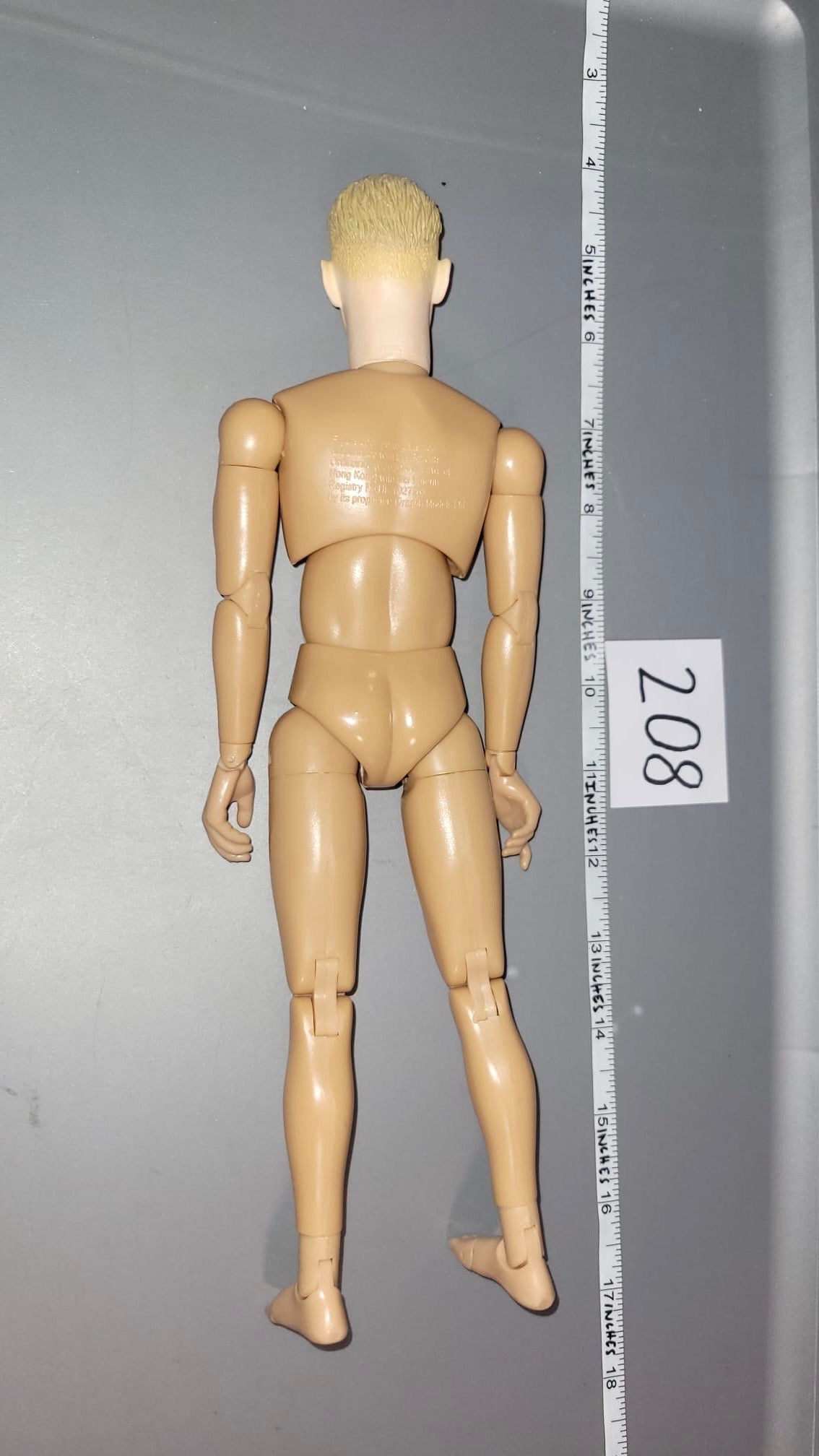 1/6 Scale Nude Dragon Figure