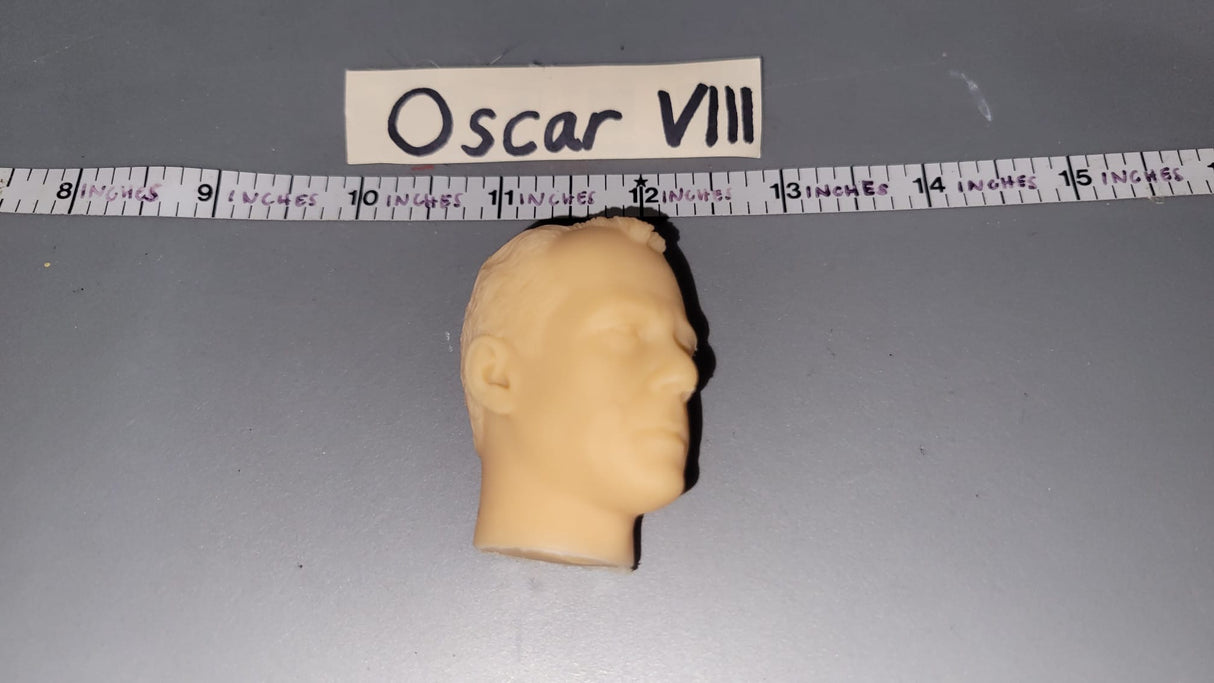 1/6 Scale Unpainted Head Sculpt