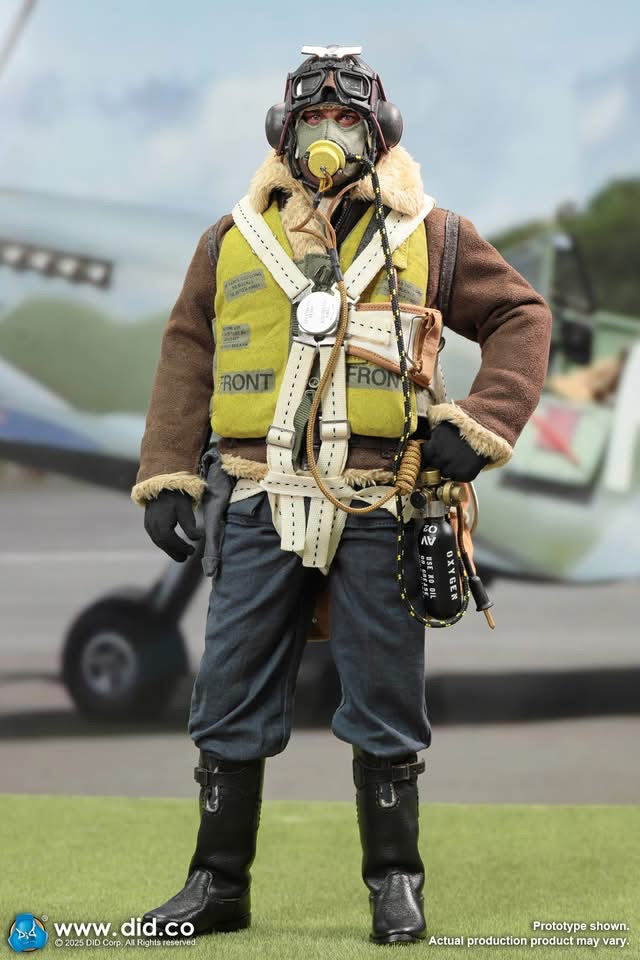 1/6 Scale WWII British Pilot Squadron Leader – Tom - DiD K80187 NIB Boxed Figure