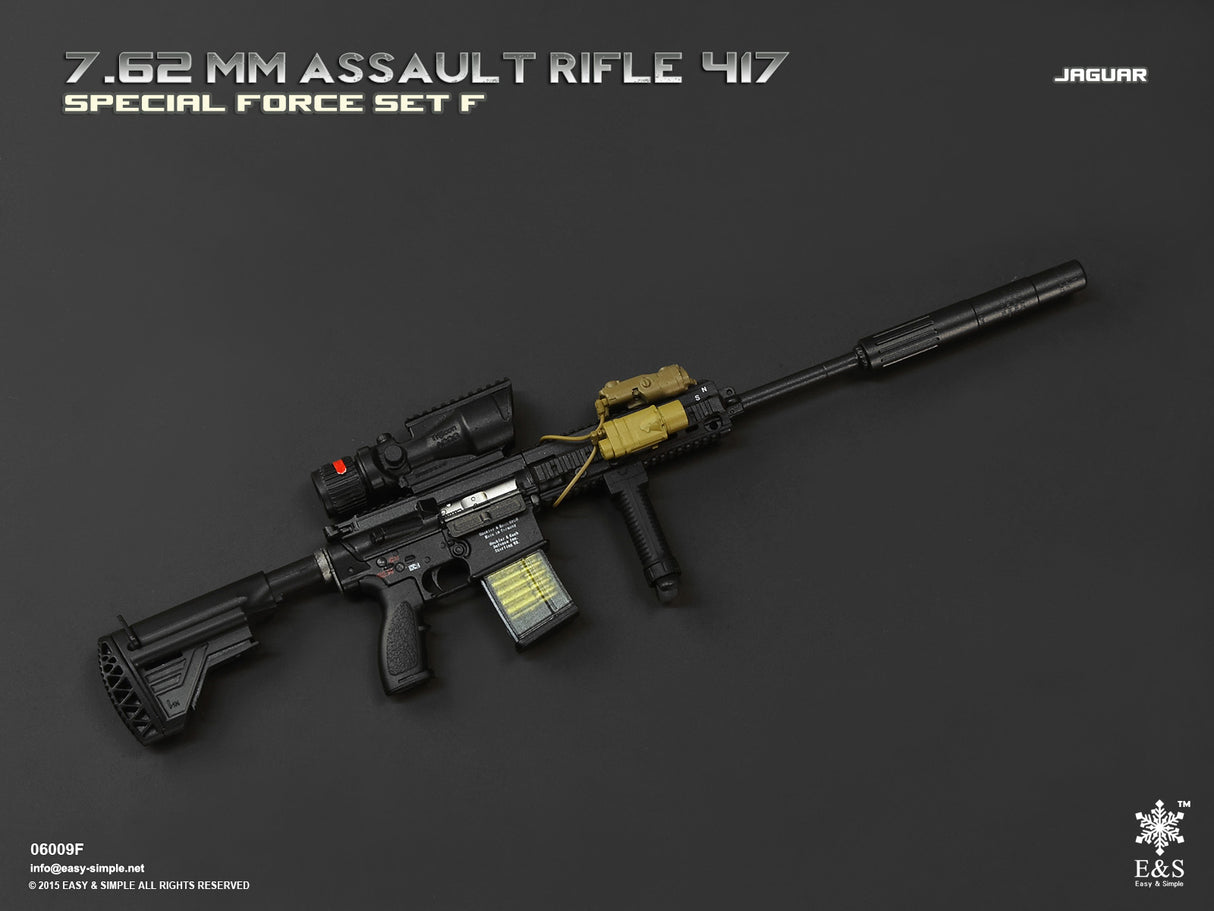 1/6 Scale Modern Era ASSAULT RIFLE 417 Weapons Set - NIB Easy and Simple Set F - LMSVII