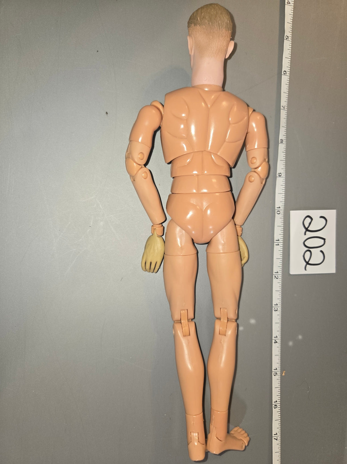 1/6 Scale Nude DID Figure