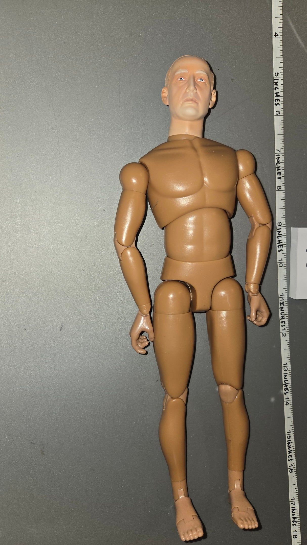 1/6 Scale Nude Dragon Figure