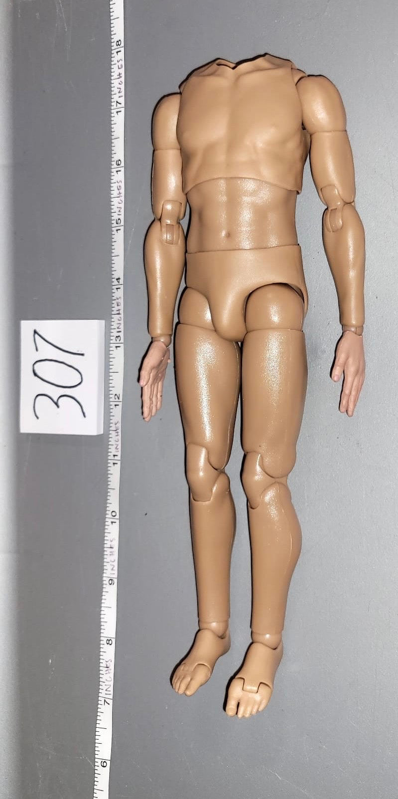 1/6 Scale DID Nude Basic Figure