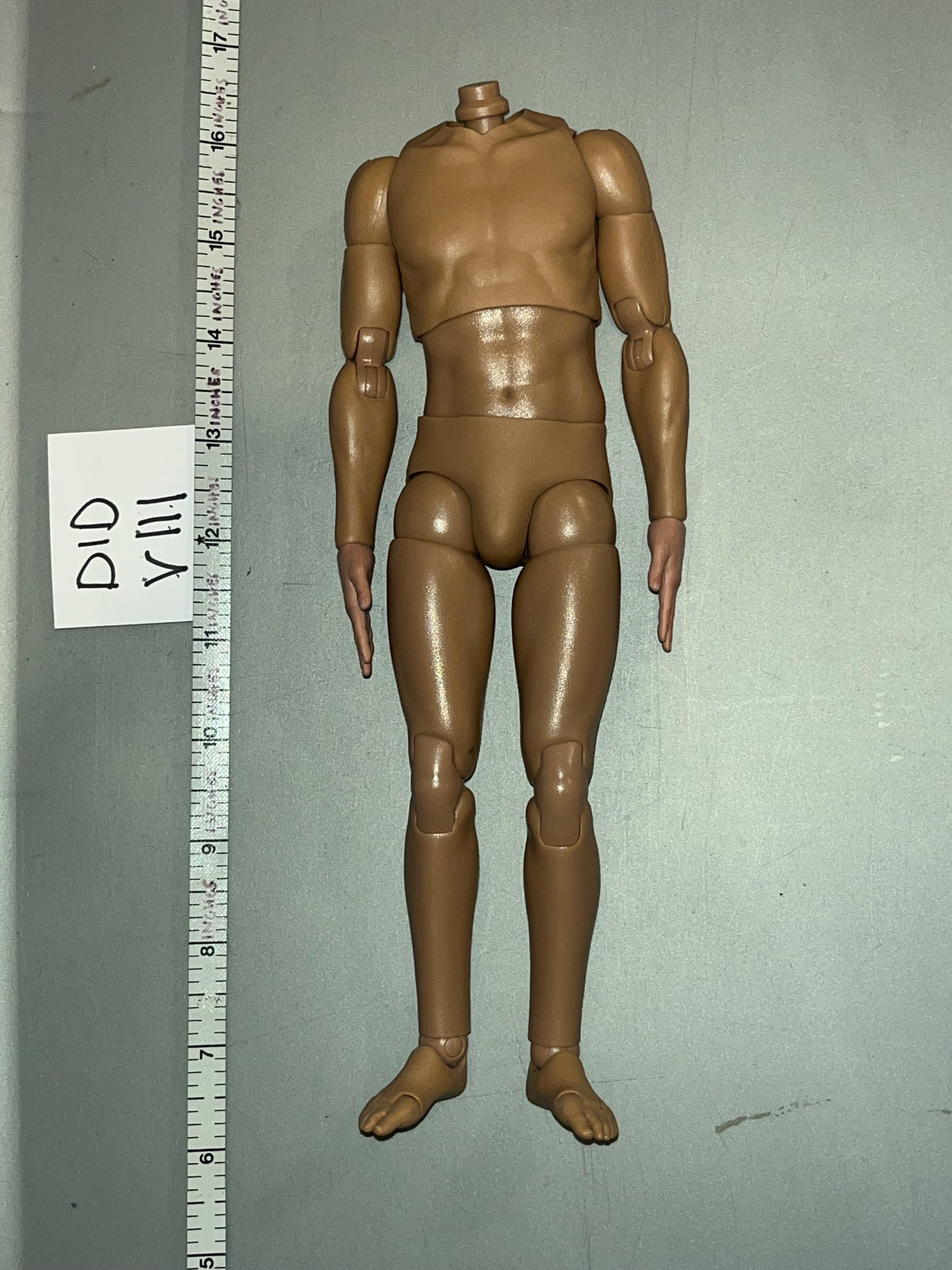 1/6 Scale DID Short Nude Basic Figure