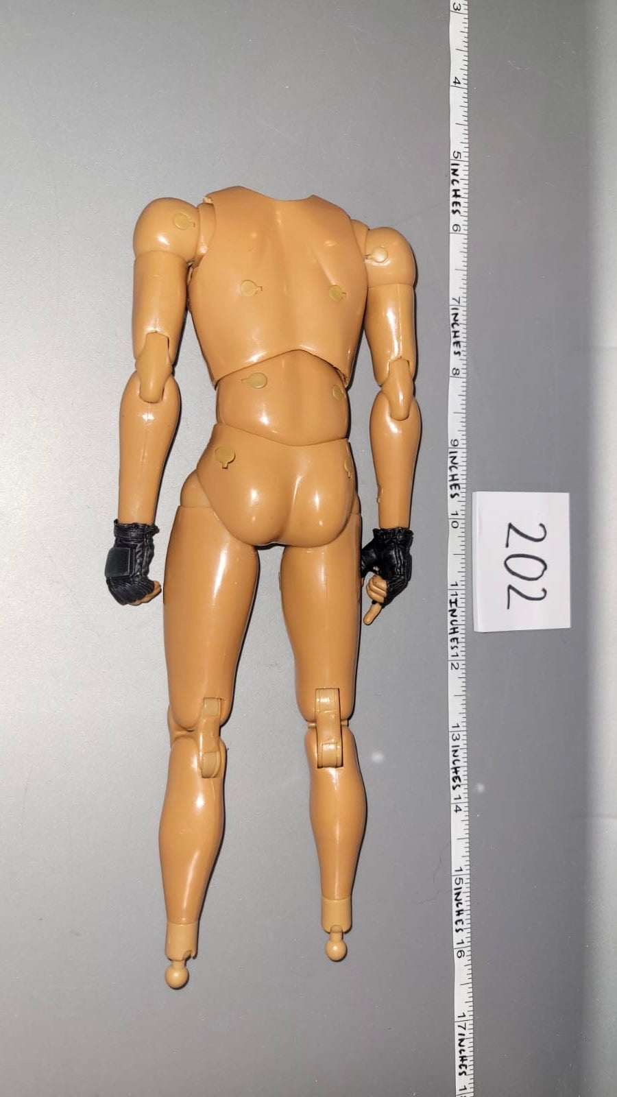 1/6 Scale Nude Figure - Basic Figure
