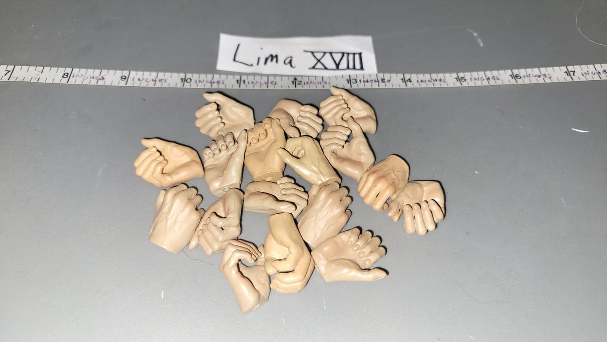 1/6 Scale Nude Figure Hand Lot