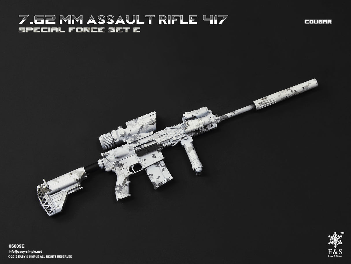 1/6 Scale Modern Era ASSAULT RIFLE 417 Weapons Set - NIB Easy and Simple Set E - BCSIV