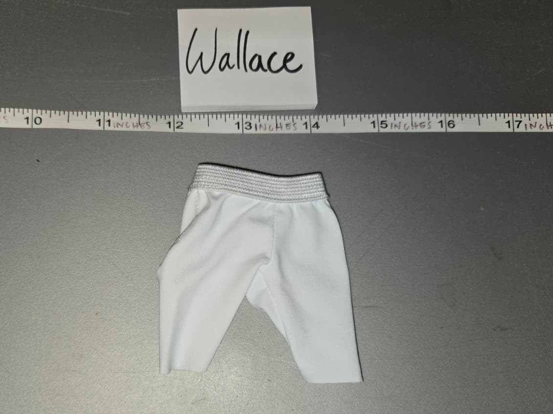 1/6 Scale Shorts - DID