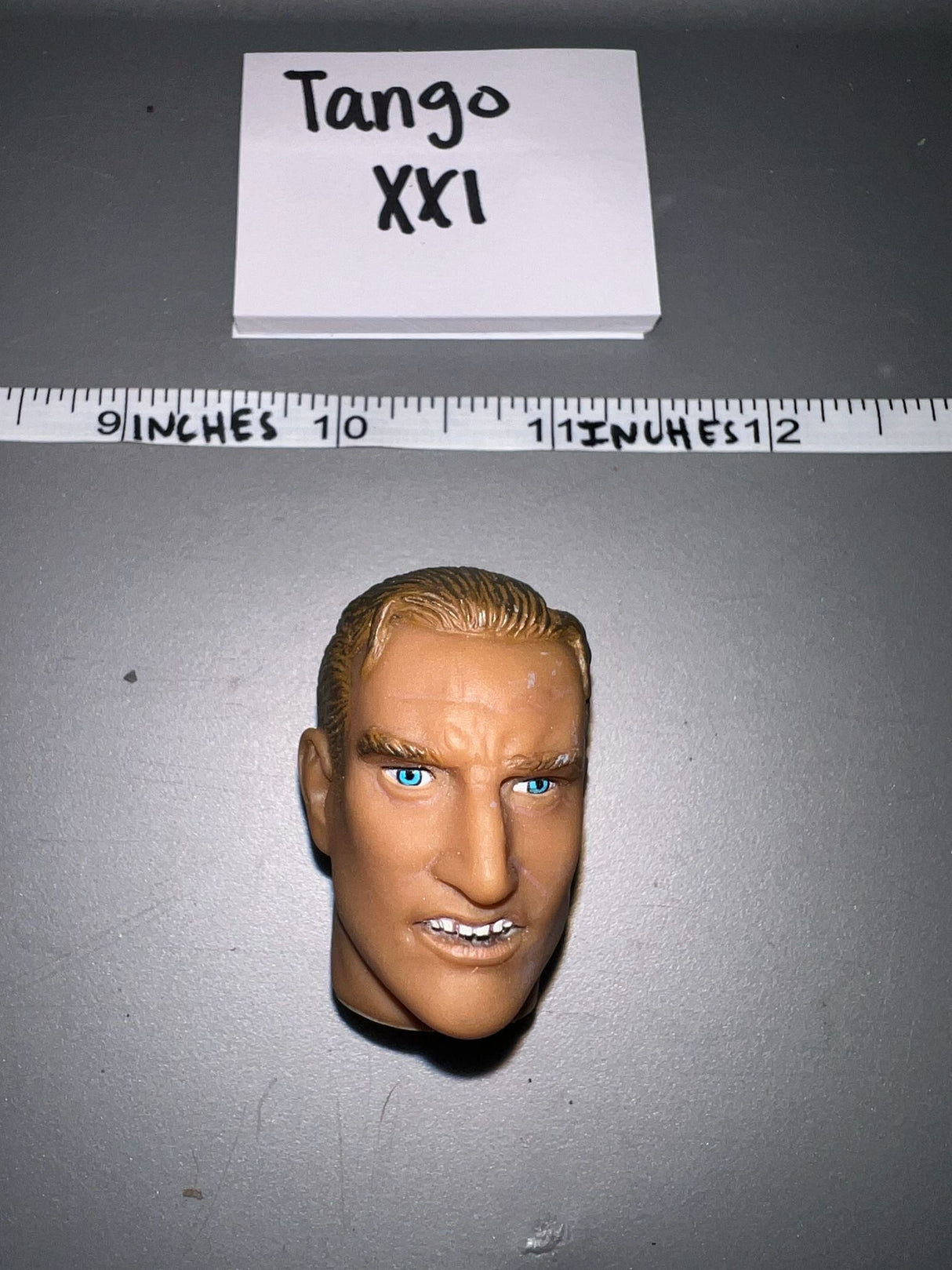 1/6 Scale Head Sculpt - SOTW