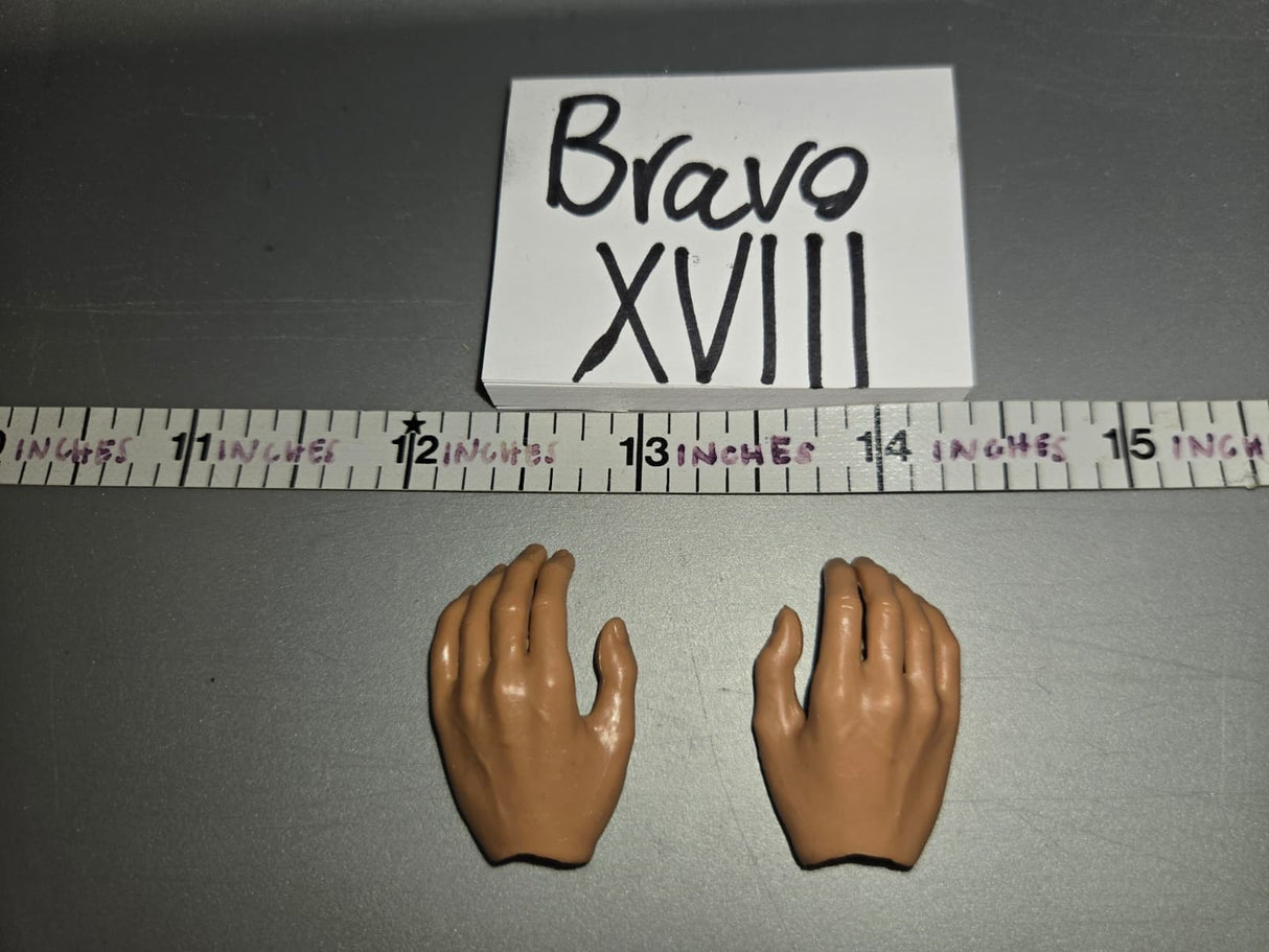 1/6 Scale Hand Set